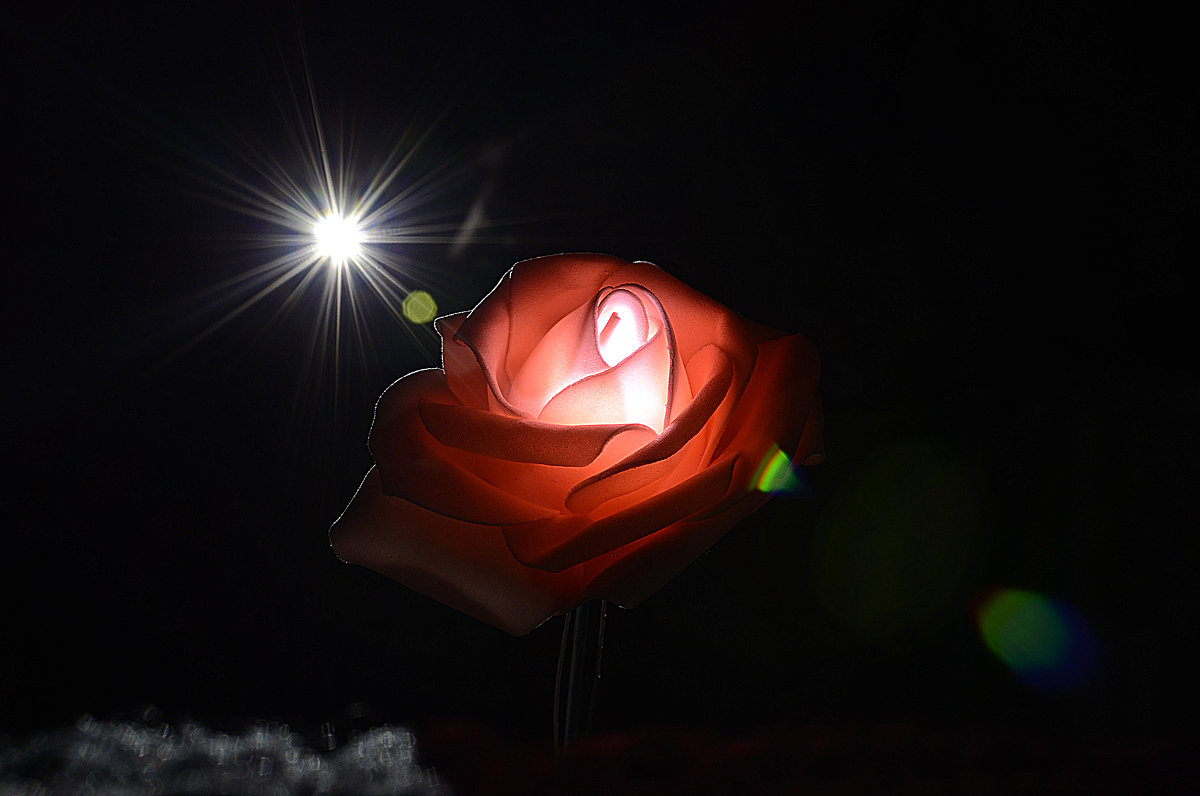 Светящиеся розы - Валери Ко
