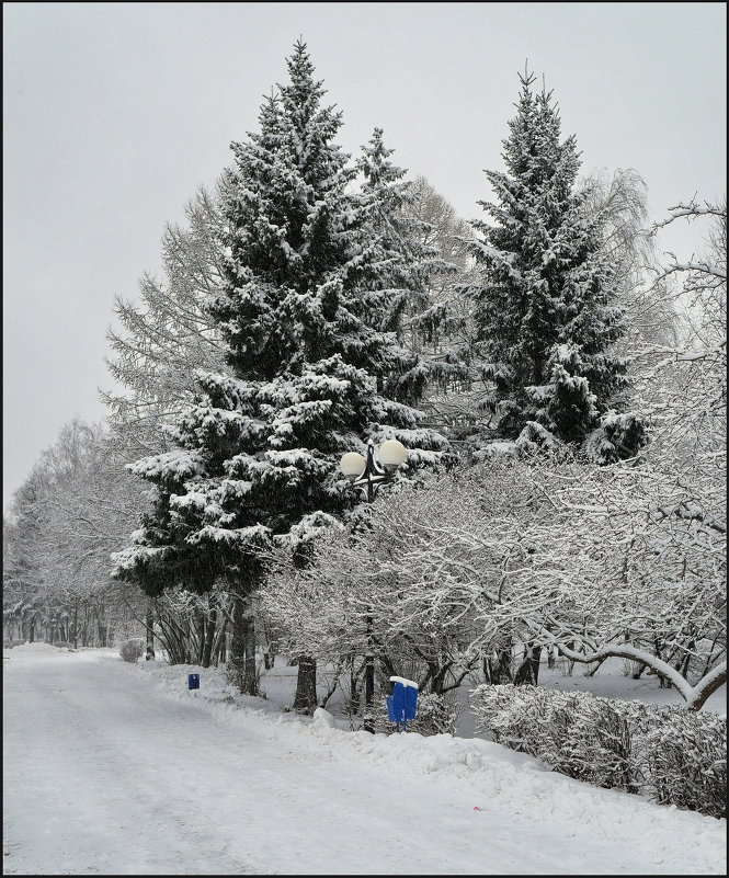 165 - Владимир Петров