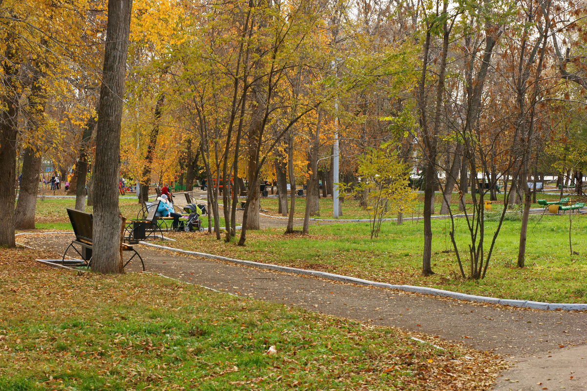 Осенний городской парк - Анатолий 