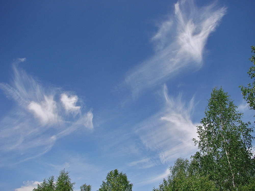 Вот такие облака - Андрей Дворников