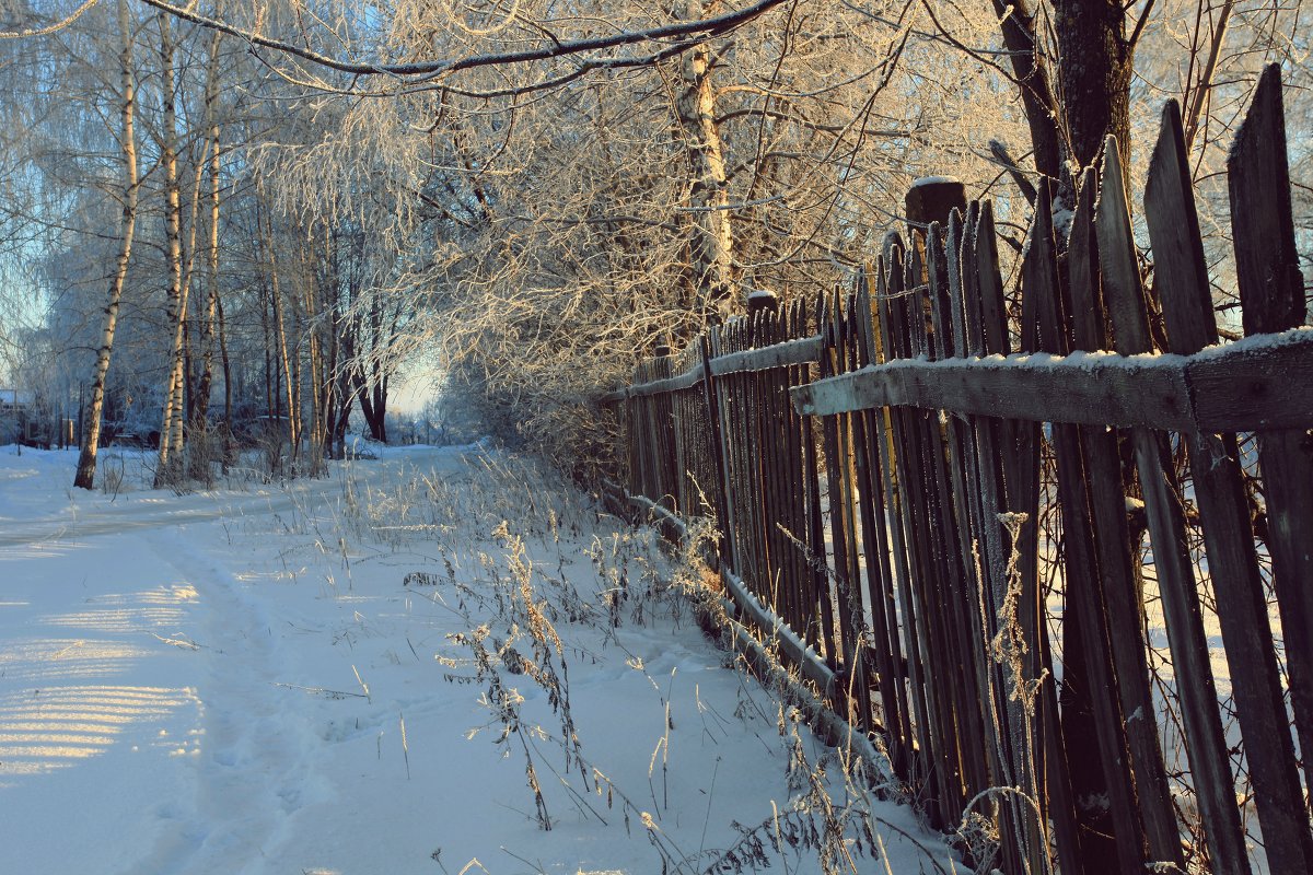 Зимняя прогулка - Олег Кашаев