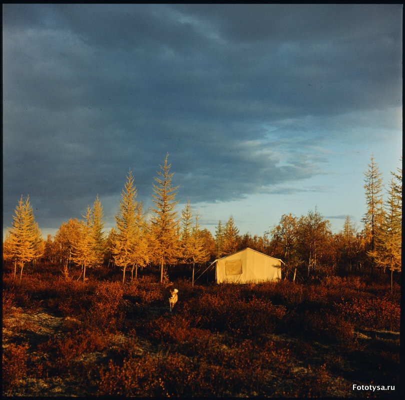 Север, 1987г. - fototysa _