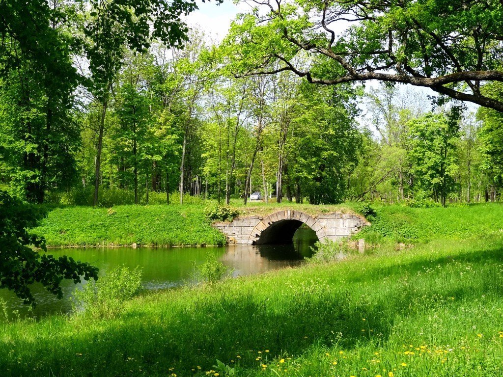 В парке - Наталия Короткова