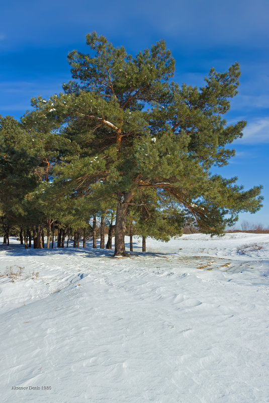 Зимняя нирвана - Denis Aksenov