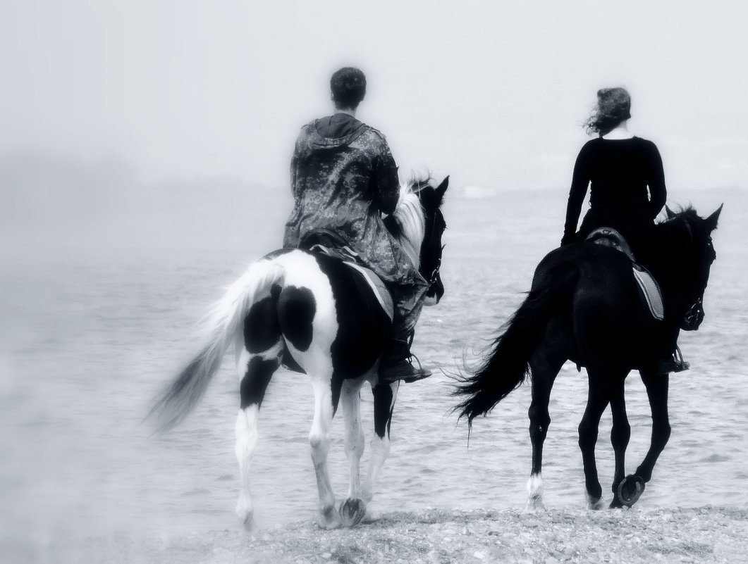 Люди, море, лошади... 2 - Лилия Гиндулина