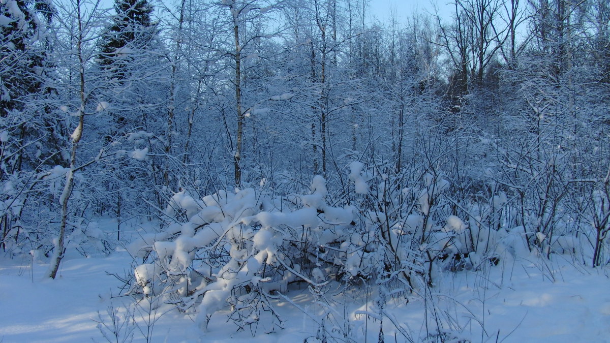Зимний пейзаж - Ivan 