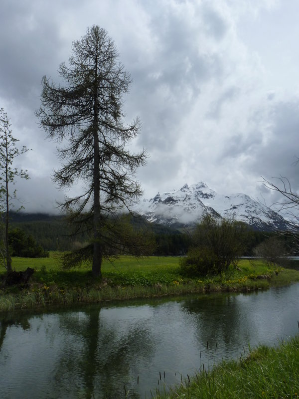 Engadin - Elena 