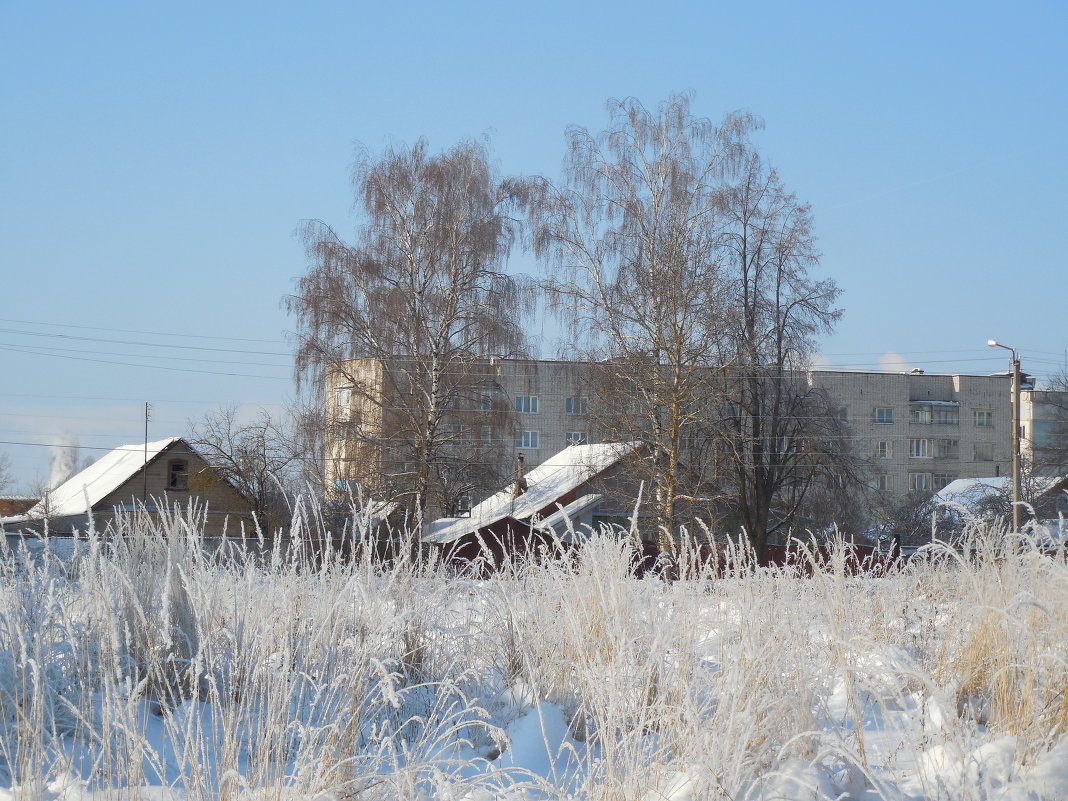 зима2014-1 - пётр терентьев