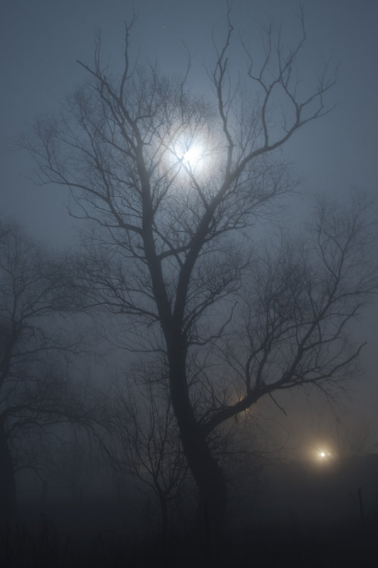 Лунная туманная ночь-2 - Roman Globa