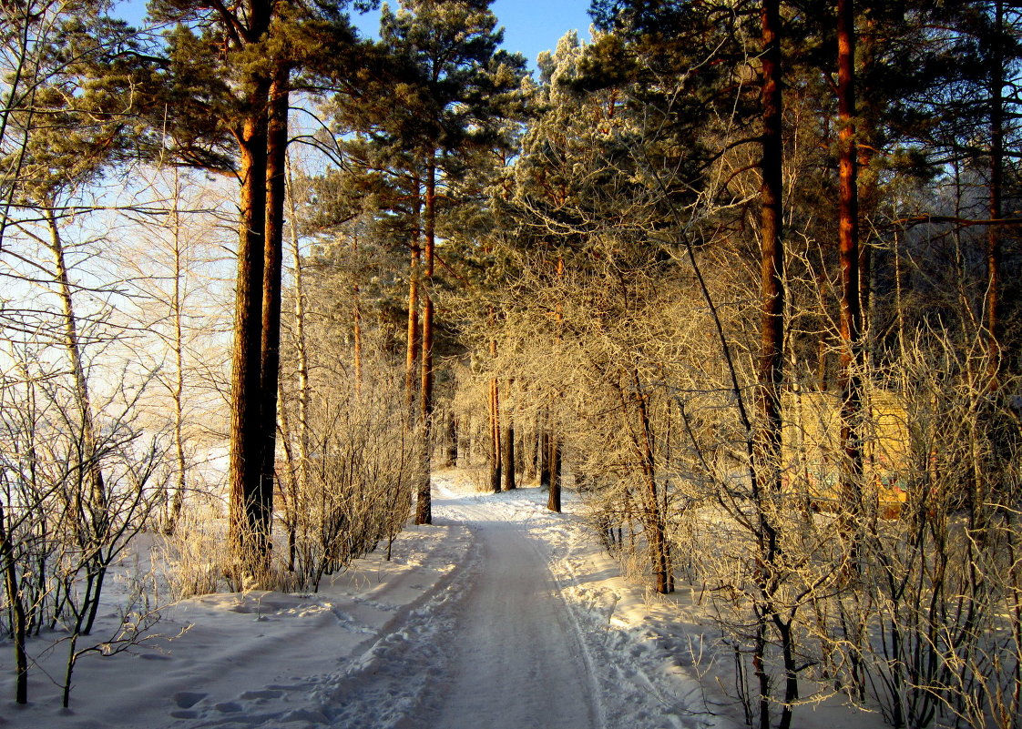 Зимняя дорога - Александр 