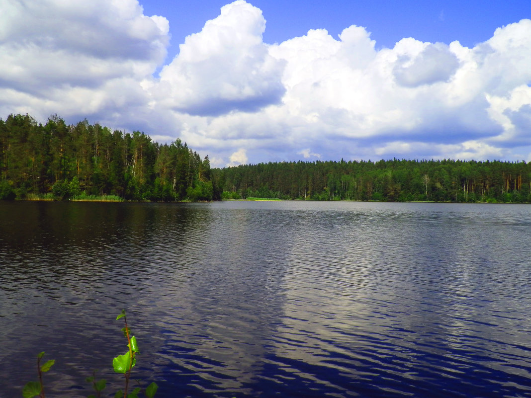 облака над лесным озером - Сергей 