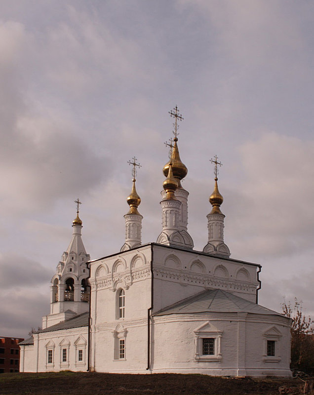 Церкви Рязани - Андрей 