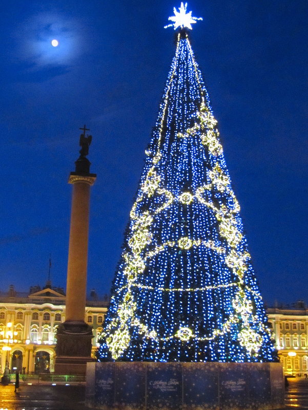 Новогодняя ёлка на Дворцовой площади - Александр 