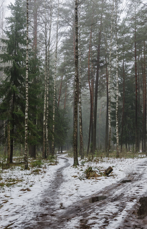 Февраль - Тамара 