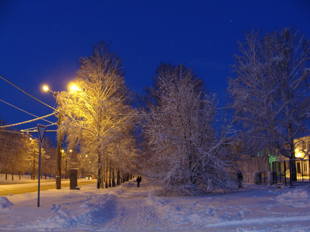 раннее утро после снегопада....заснеженный бульвар... - Наталья Меркулова