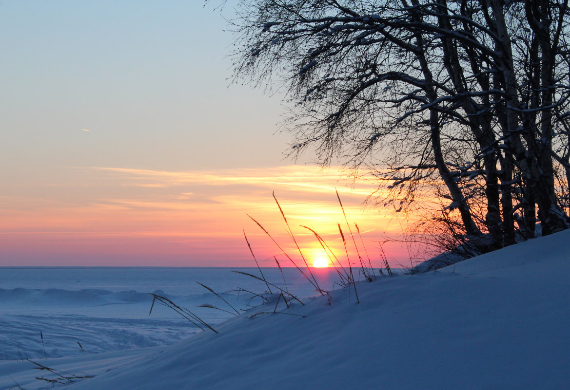 Солнце заходит за Белое море - Владимир Шибинский
