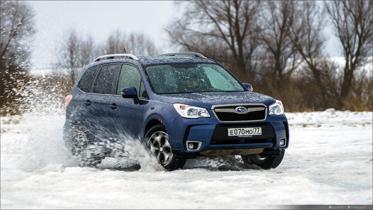 Forester XT 1 - Александр Сорокопуд