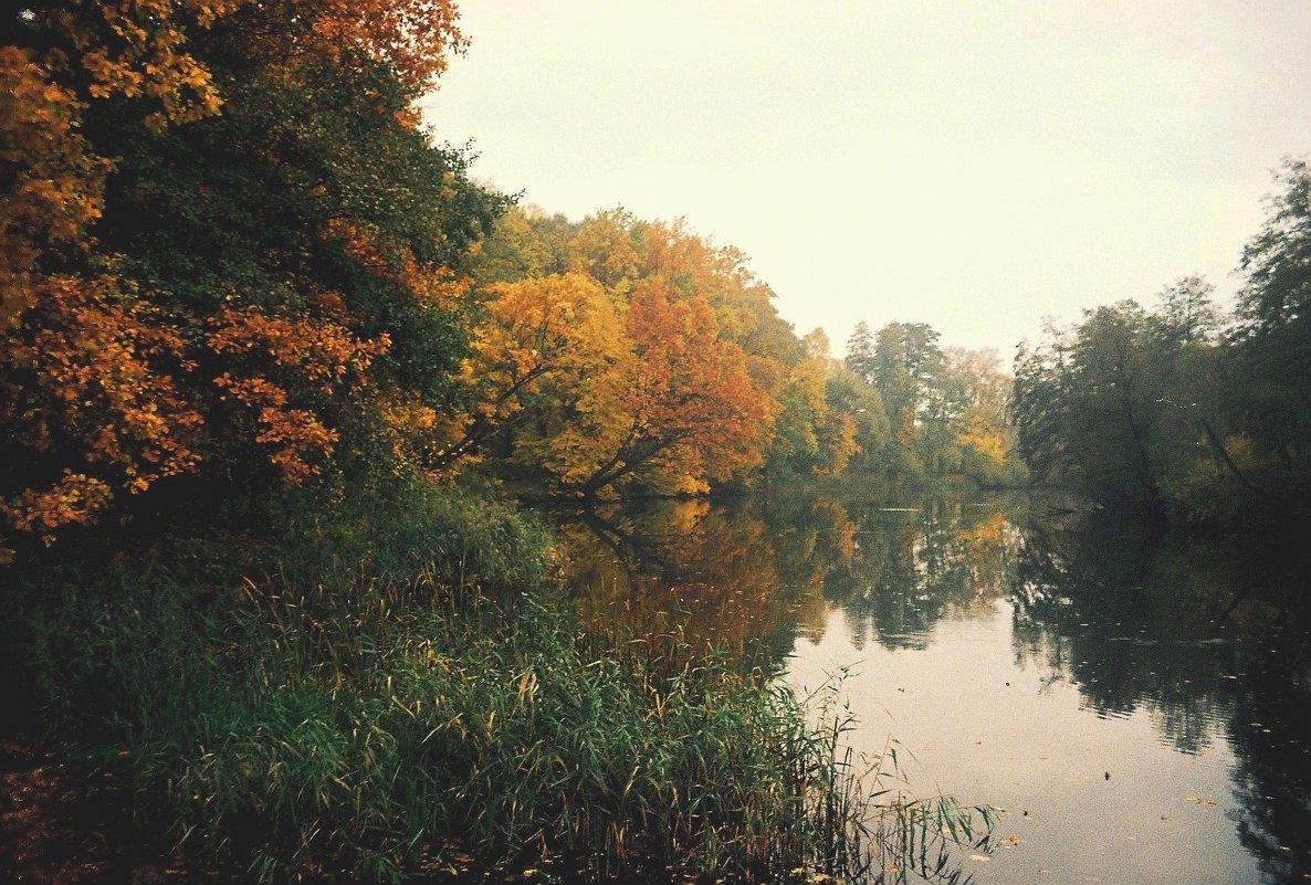 Осенний пейзаж - Катерина C