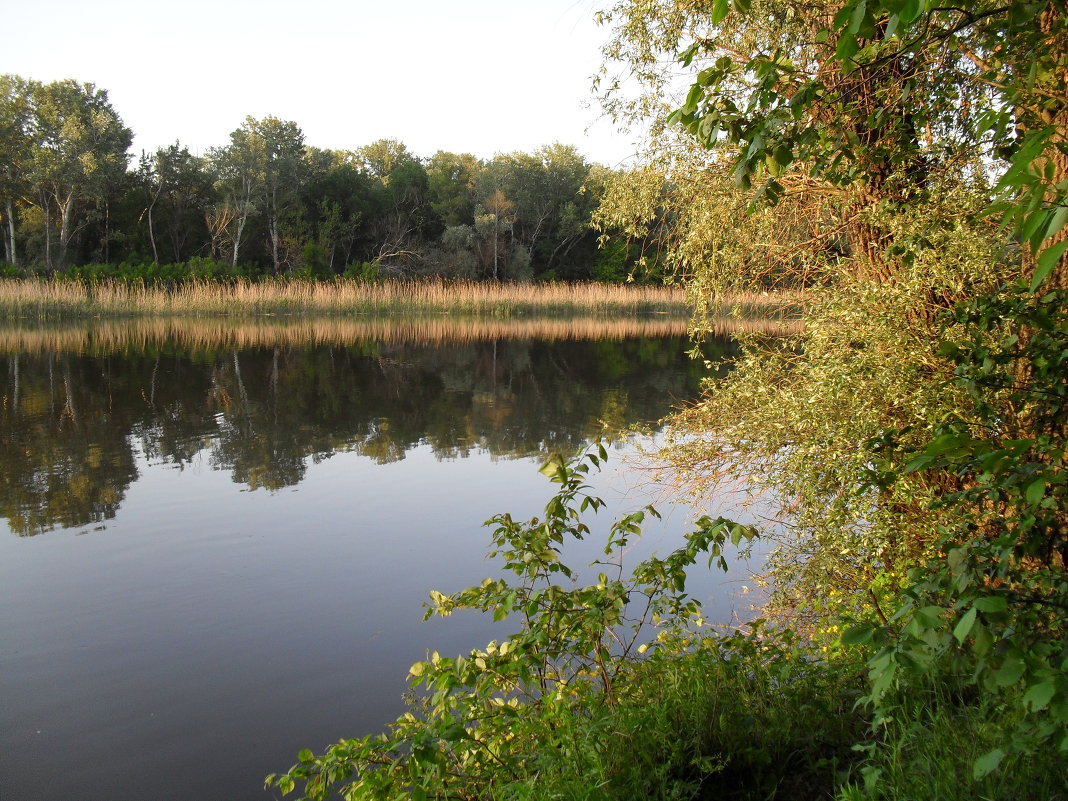 Озеро в Подгорном - Ekaterina Bondarenko