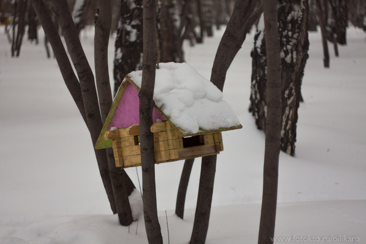 Домик на дереве - Oili Karpova