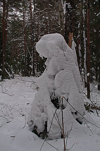 Снежные человеческие скульптуры в лесу. - Валерий. Талбутдинов.