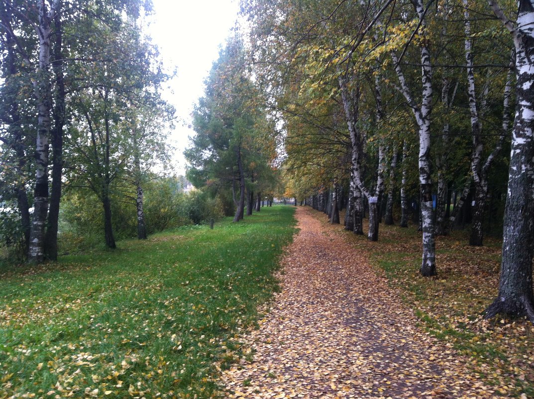 Осенняя тропинка - Мария Погодина