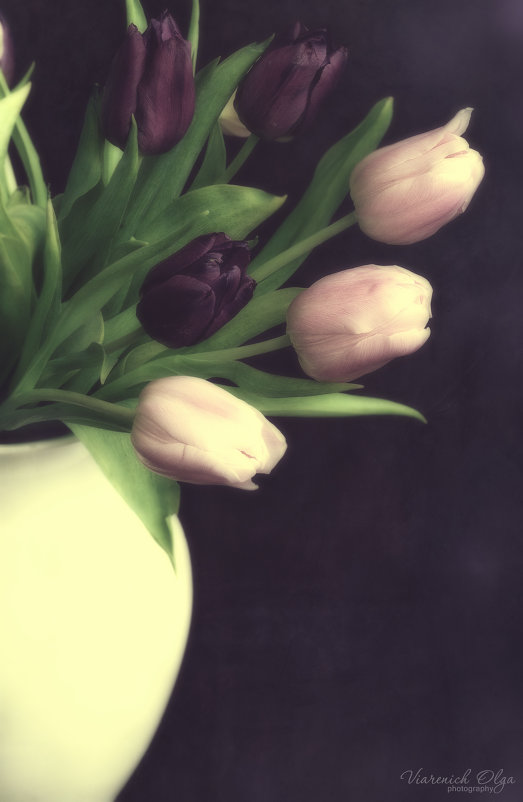 Тюльпаны - Olga Verenich