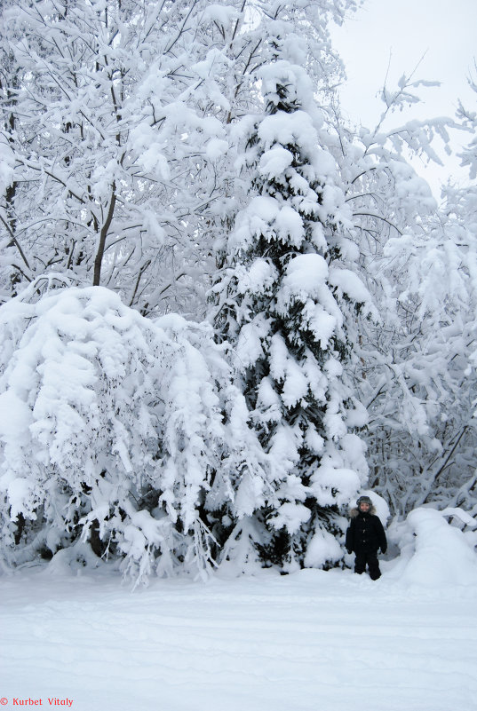Зима - Vitaly Kurbet