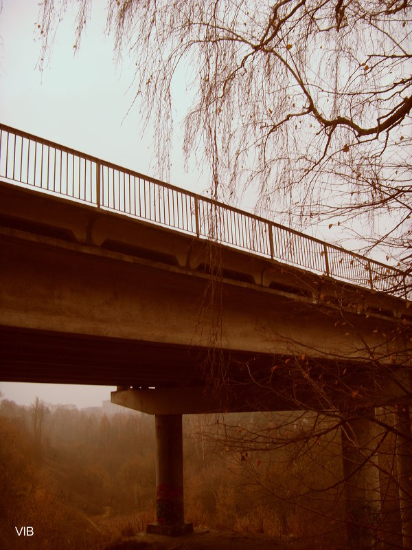 Осенний мост - Владимир 
