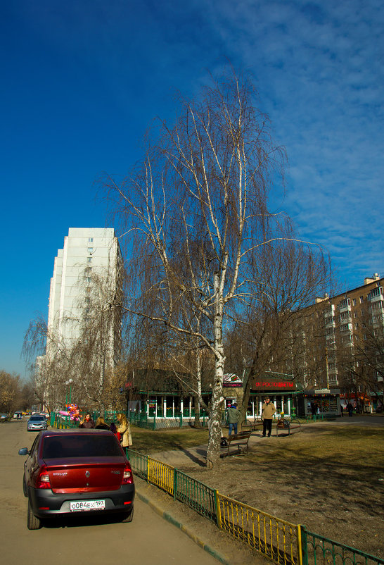 Москва. Нагатинский затон. Дыхание весны. - Игорь Герман