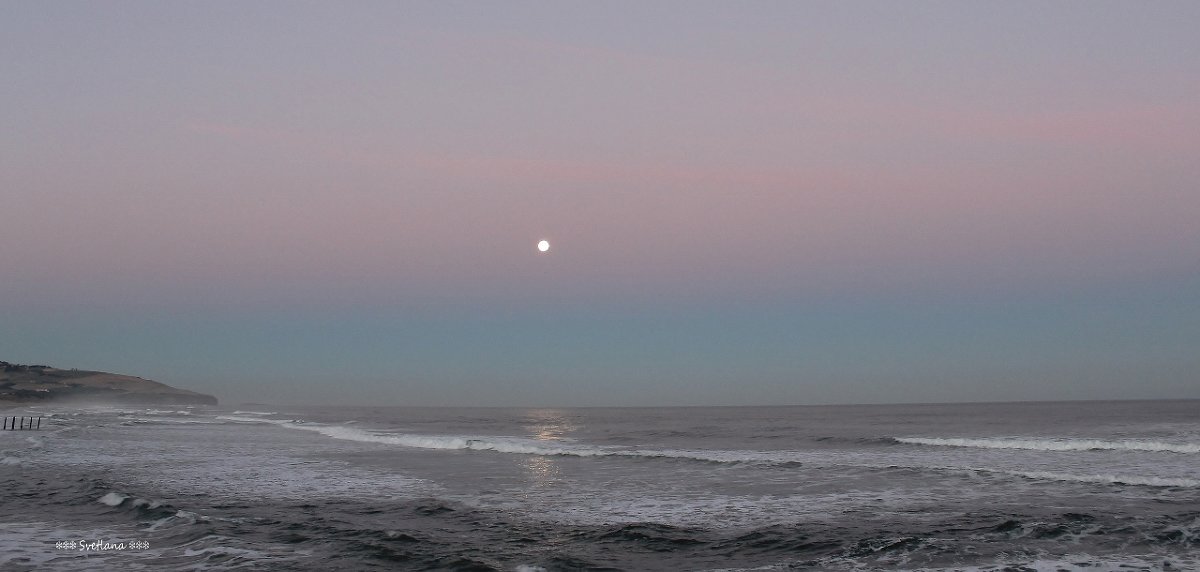 луна над Тихим океаном - Светлана Шакирзянова