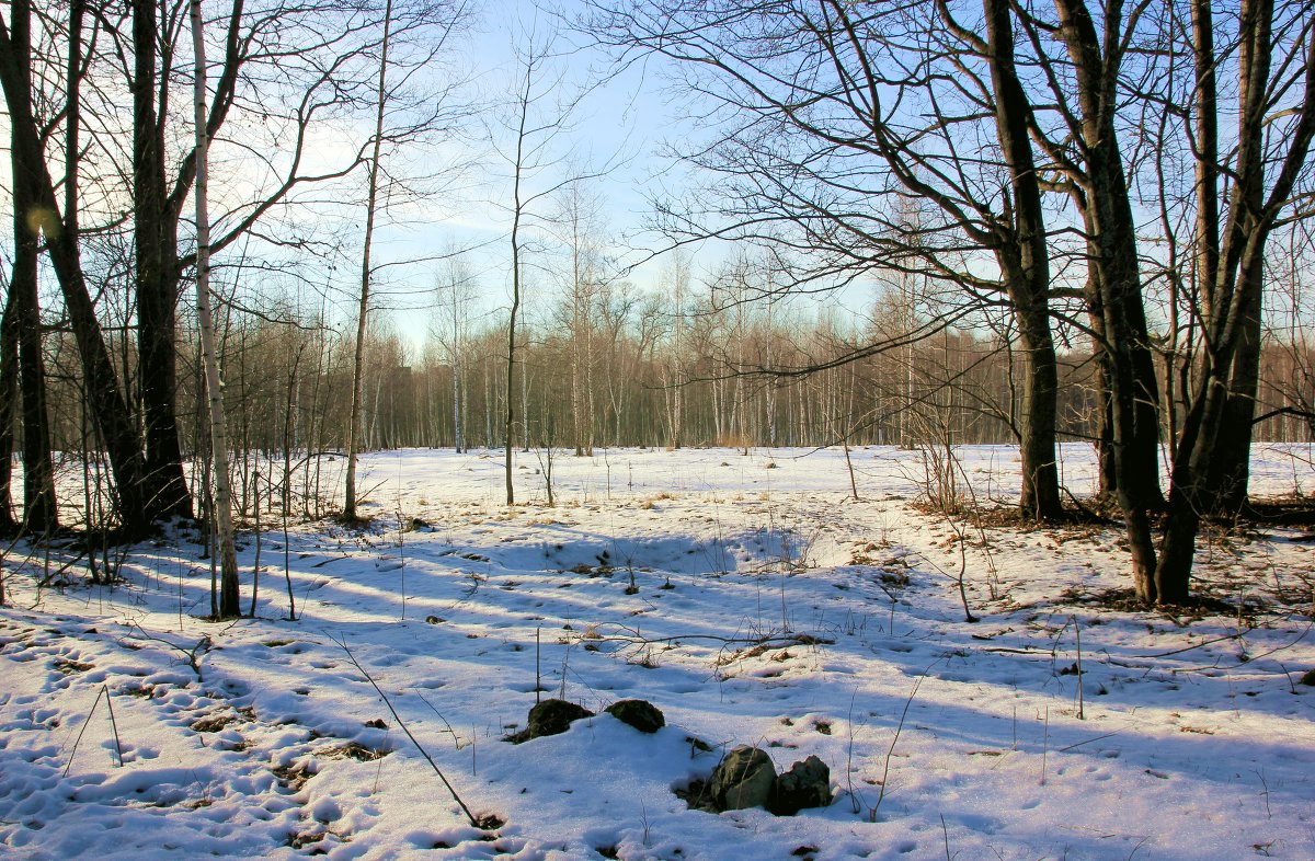 Тёплый февраль - Владимир Буравкин