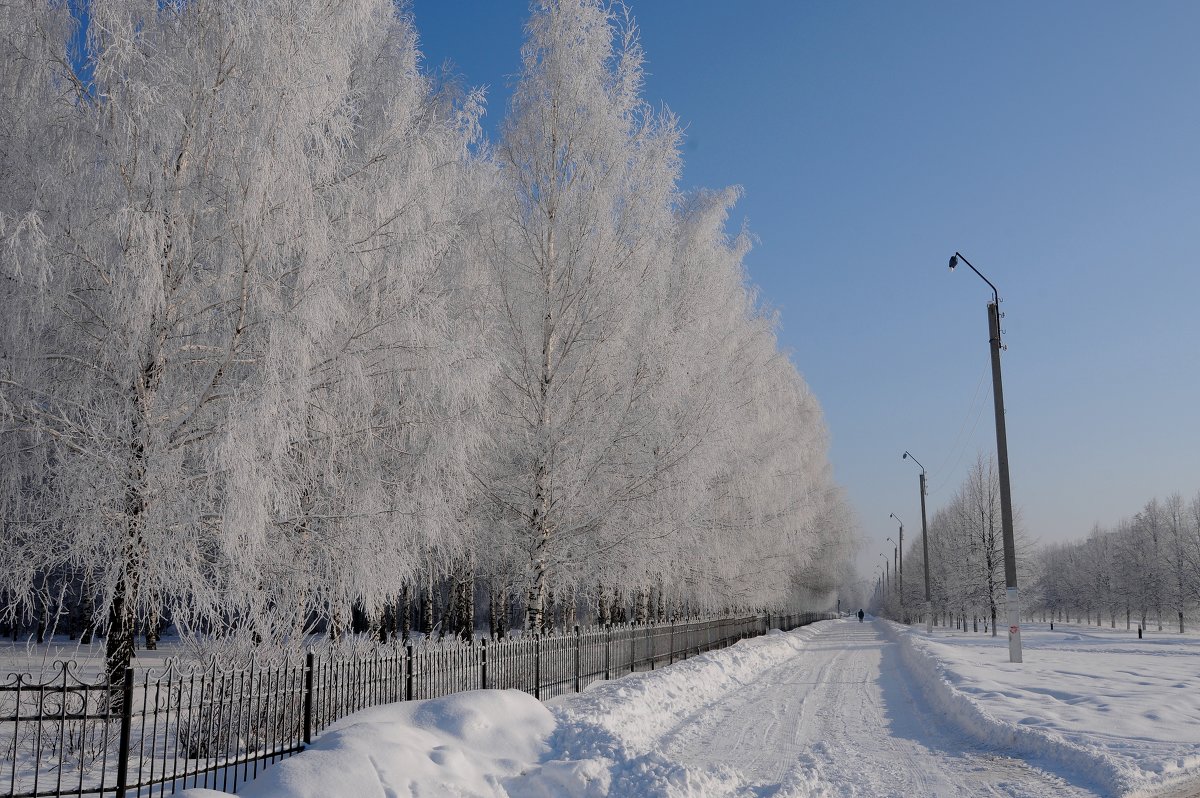 Городской парк зимой - Игорь Ильиных