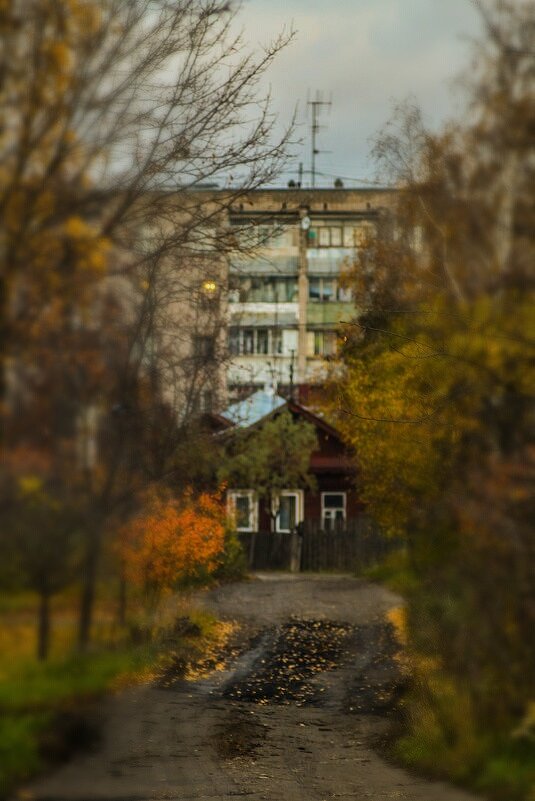 моя осень... - Иван Арефьев