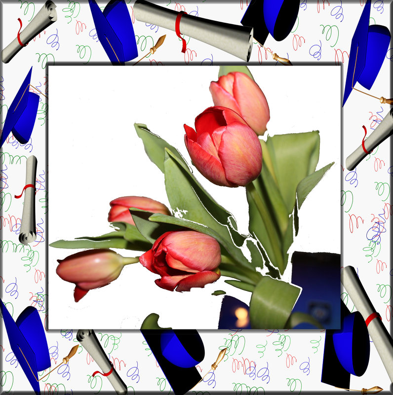 букет красных тюльпанов - Наталья Золотых-Сибирская
