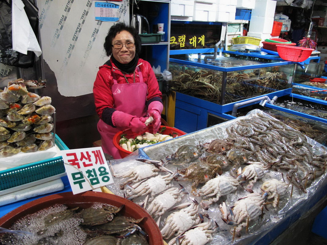 Рыбный рынок в Сеуле. - Ева Такус 