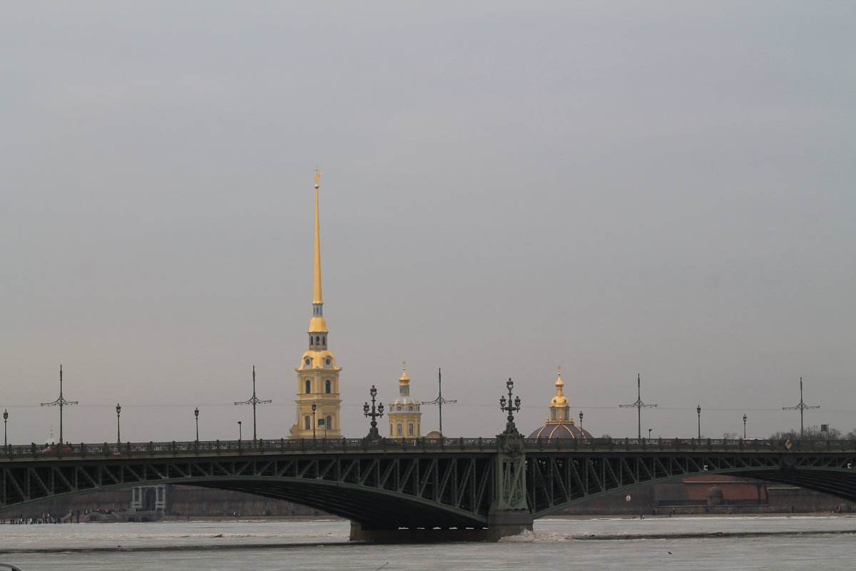 Троицкий мост и Петропавловская крепость - Елена 