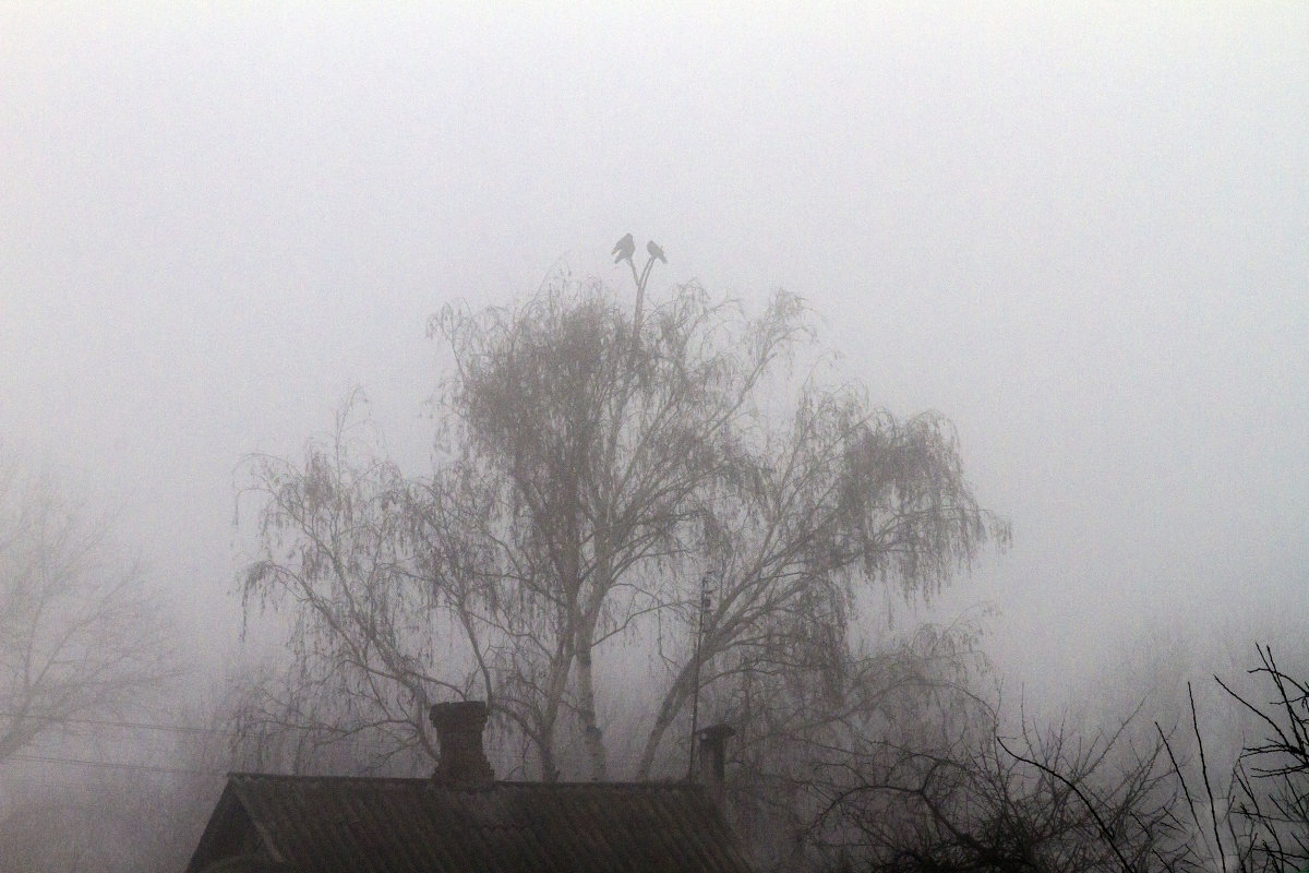 Туман - Yuri Chudnovetz