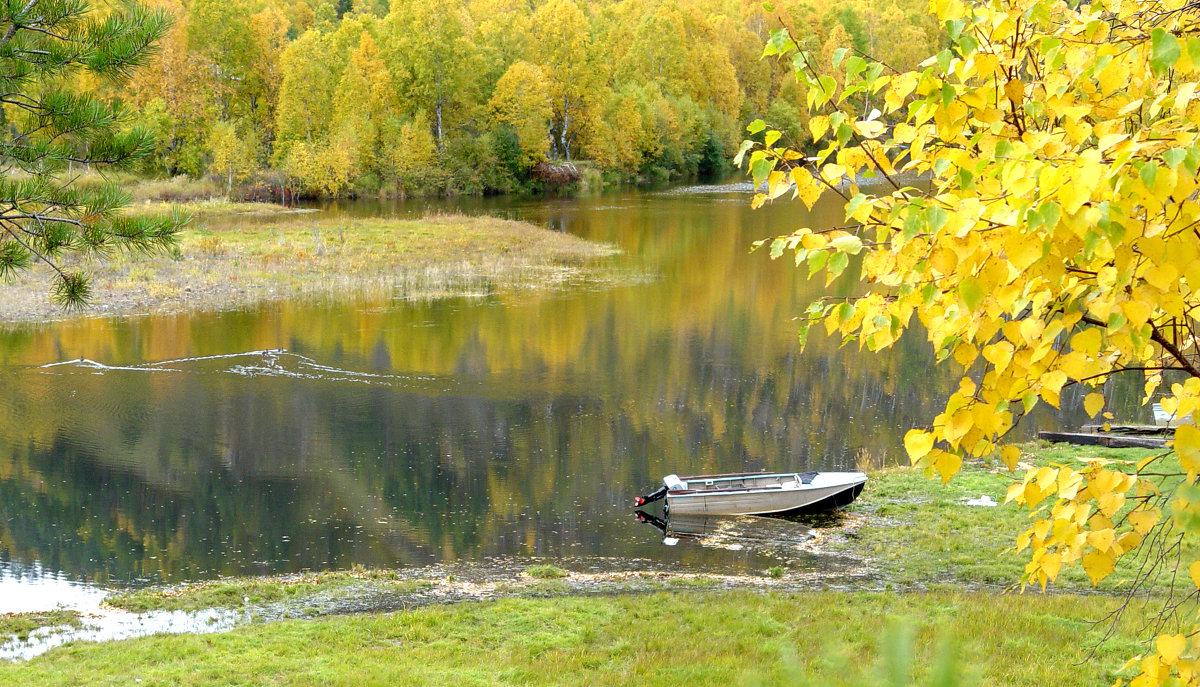 *** - Николай Морский 