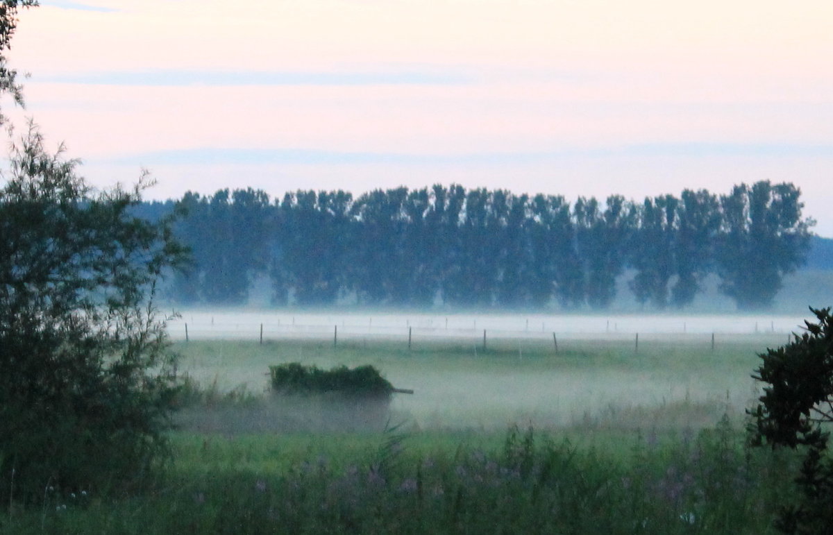 Morning fog - Konstantin Pervov
