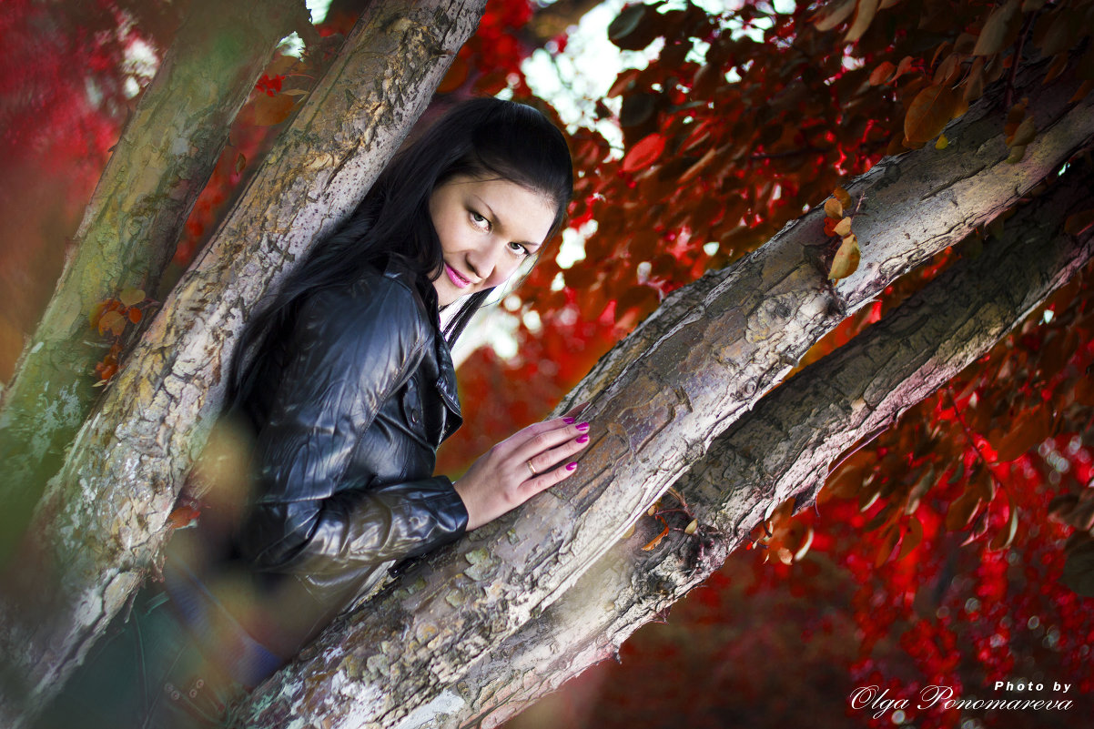 Красавица Осень - Ольга Пономарева