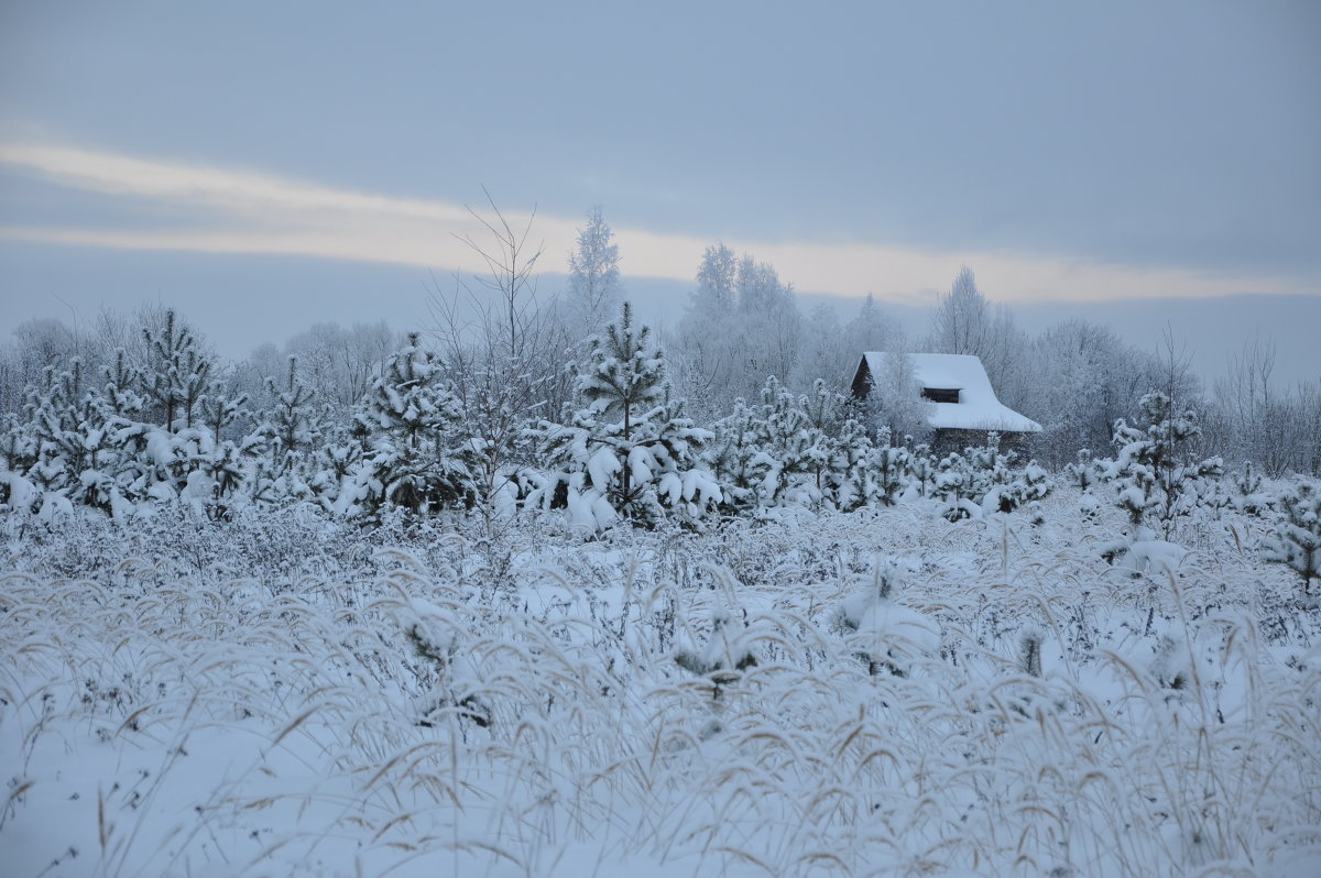 Зима - Олег Oleg
