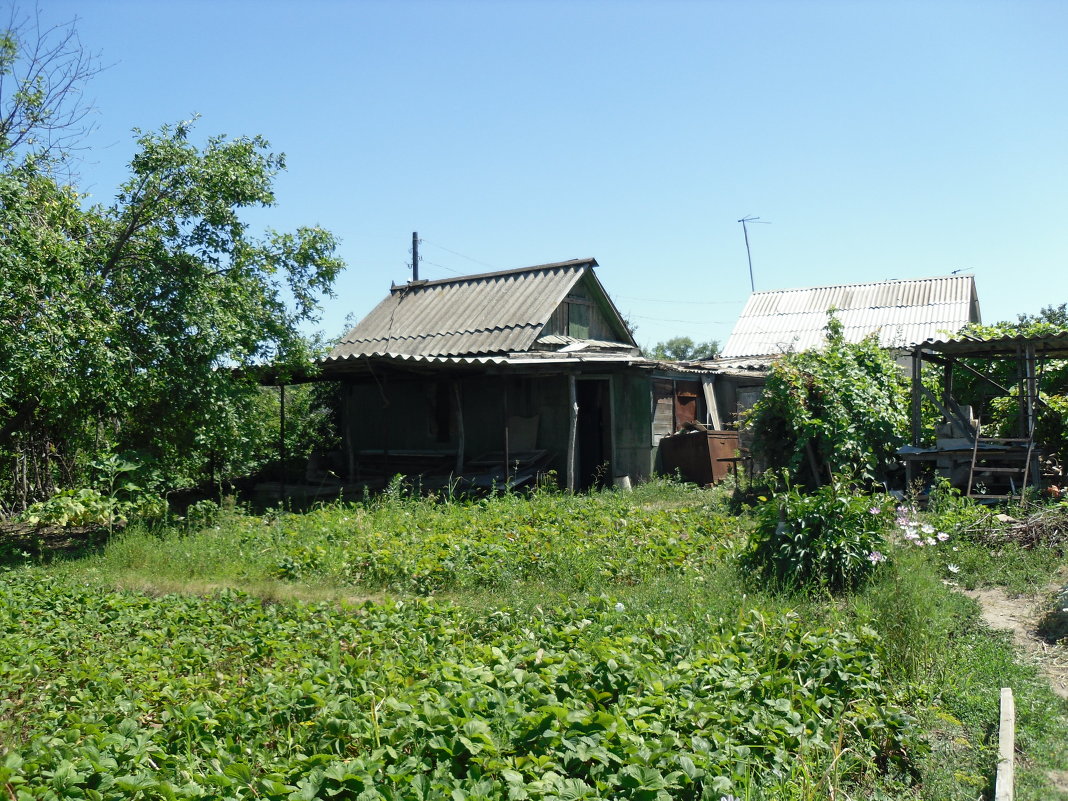 Старый домик - Купряхин Андрей 