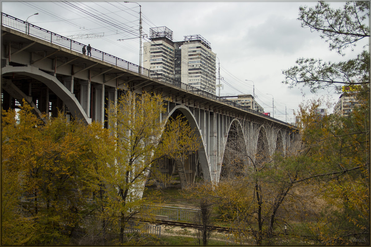 мост через царицу - Сергей Андриянов