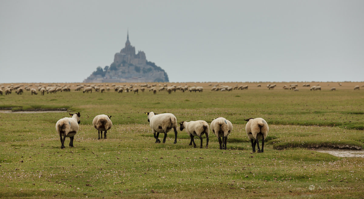 Mont St. Michel - Алексей Соловьев