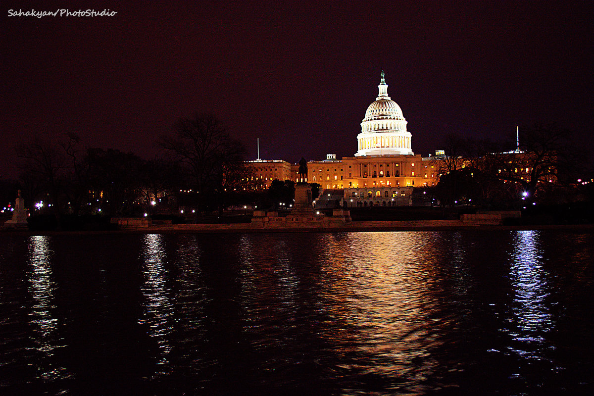 Capitol, Washington - Arman S