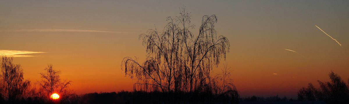 *** - Николай С