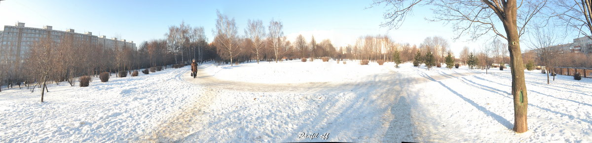 Парк зимой - Александр Панфилов