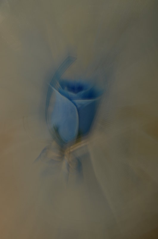 Туманная роза... - Guzel Gainova