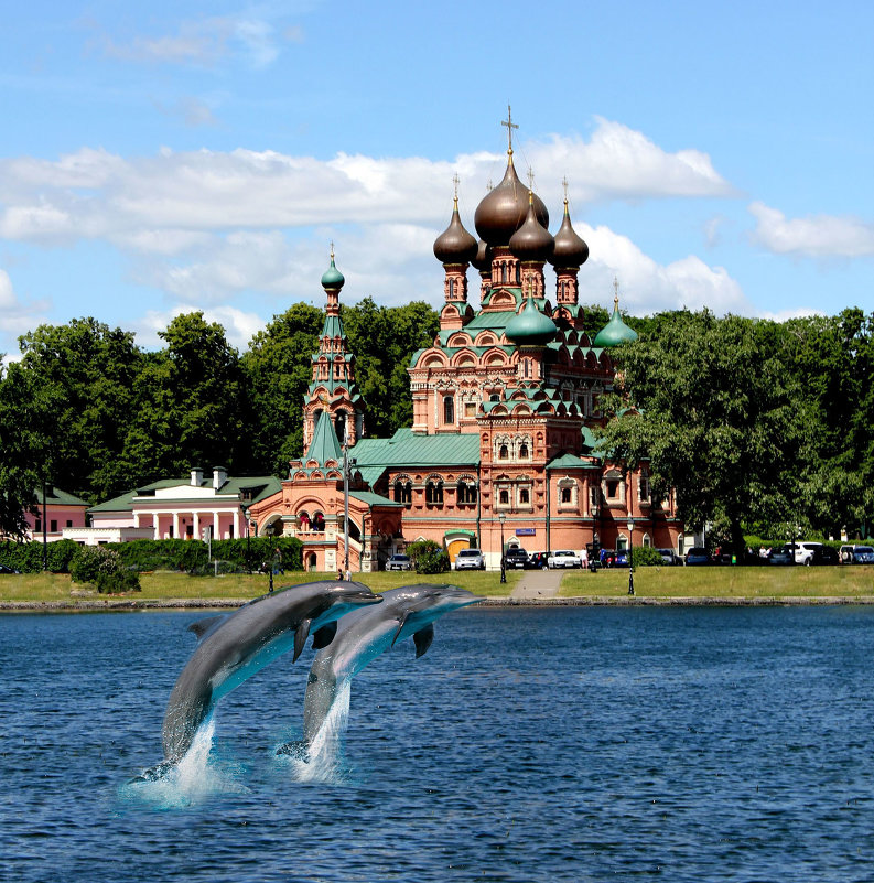 Дельфины в Останкино - Елена Аксамит